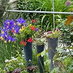 Homestay Marijam-haus