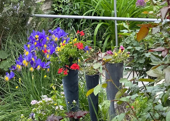 ホームステイ Marijam-haus